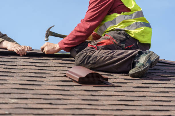 Best Metal Roofing Contractor  in Alma, GA