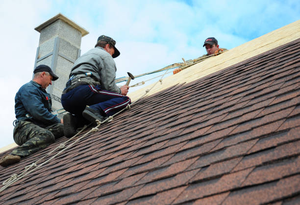 Best Roof Leak Repair  in Alma, GA