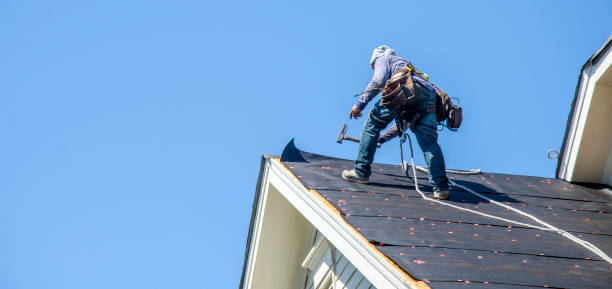 Best Shingle Roofing Installation  in Alma, GA